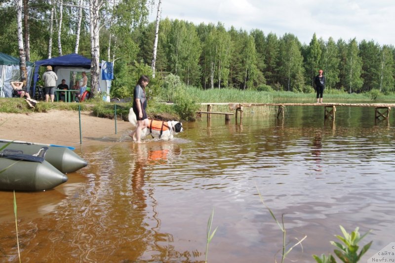 Фотография № 132388