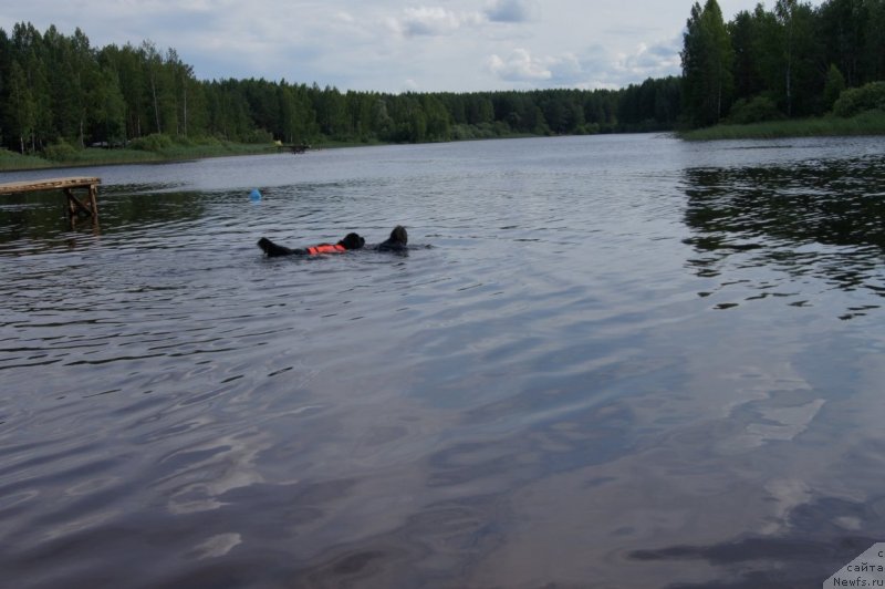 Фотография № 132391