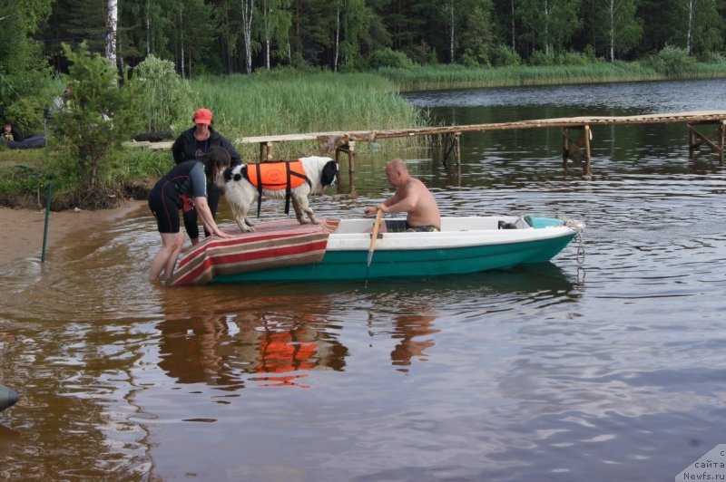 Фотография № 132393