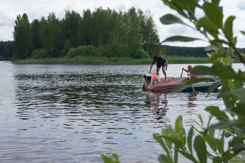 Фотография № 132394