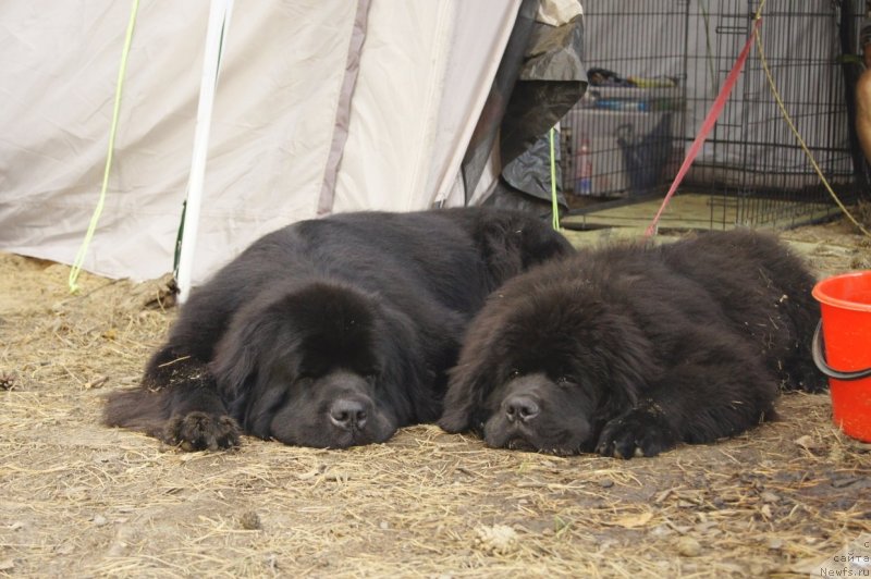 Фотография № 132397