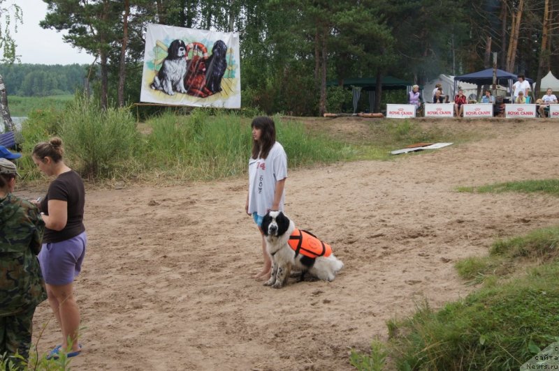 Фотография № 132398