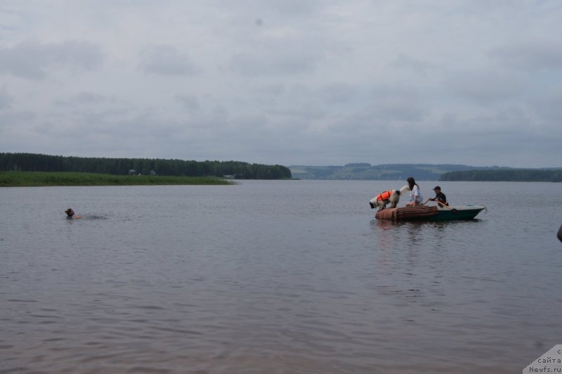 Фотография № 132403