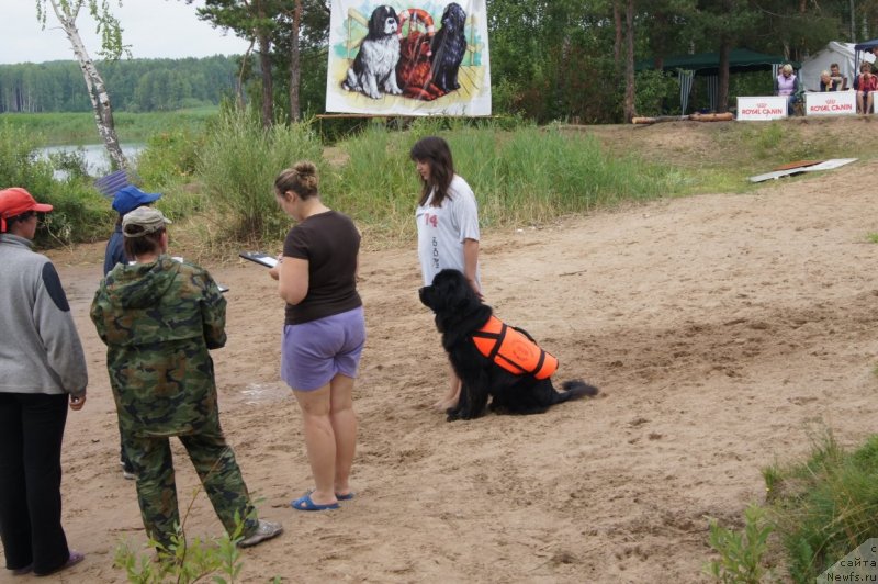 Фотография № 132405