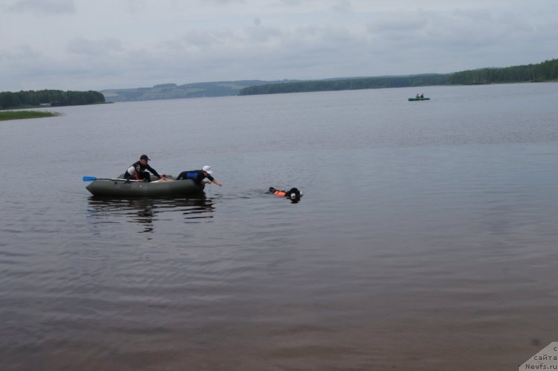 Фотография № 132407