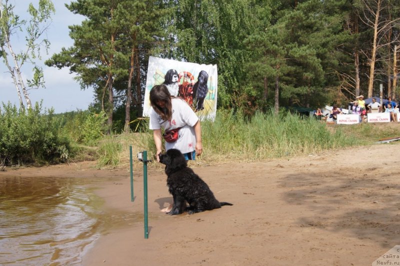 Фотография № 132408