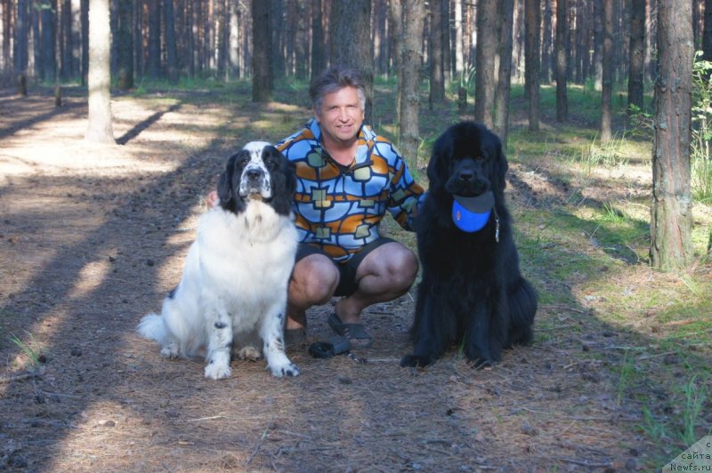 Фотография № 132412