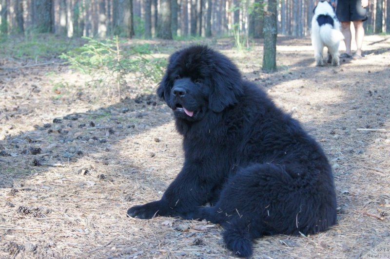 Фотография № 132414