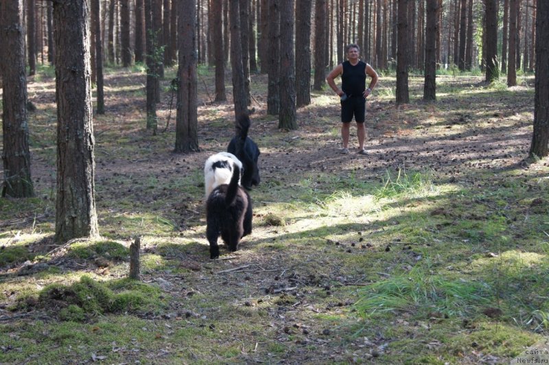 Фотография № 132415