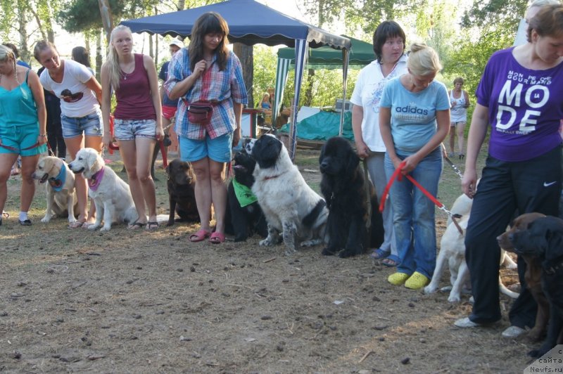 Фотография № 132417