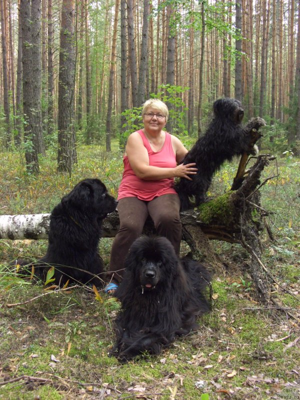 Фото: ньюфаундленд Baryishnya (Барышня), ньюфаундленд Lesnaya Skazka Lunnaya Sonata (Лесная Сказка Лунная Соната), Tat'yana Prusova (Татьяна Прусова)