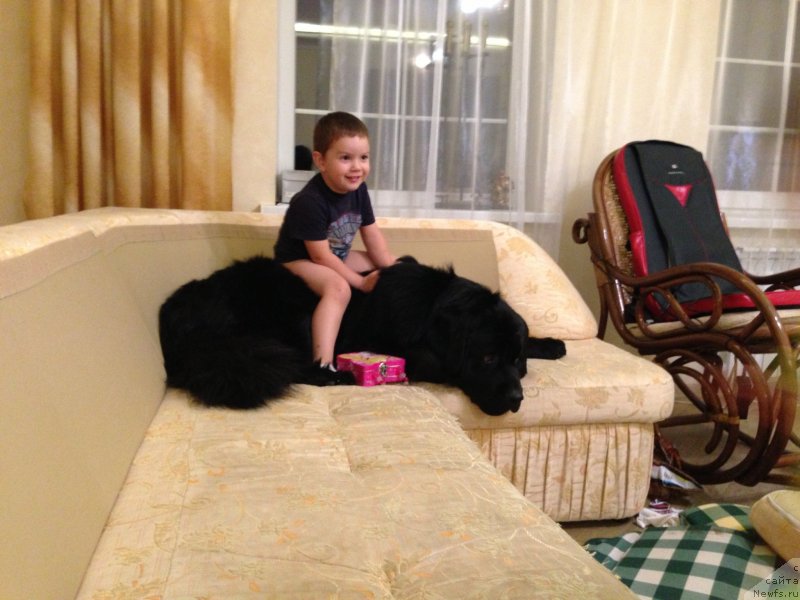 Фотография № 132498