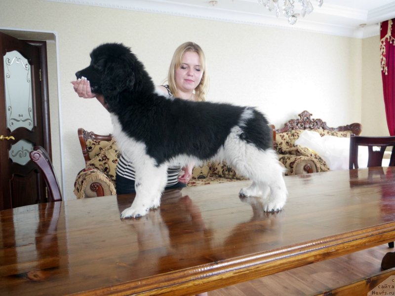 Фотография № 132523