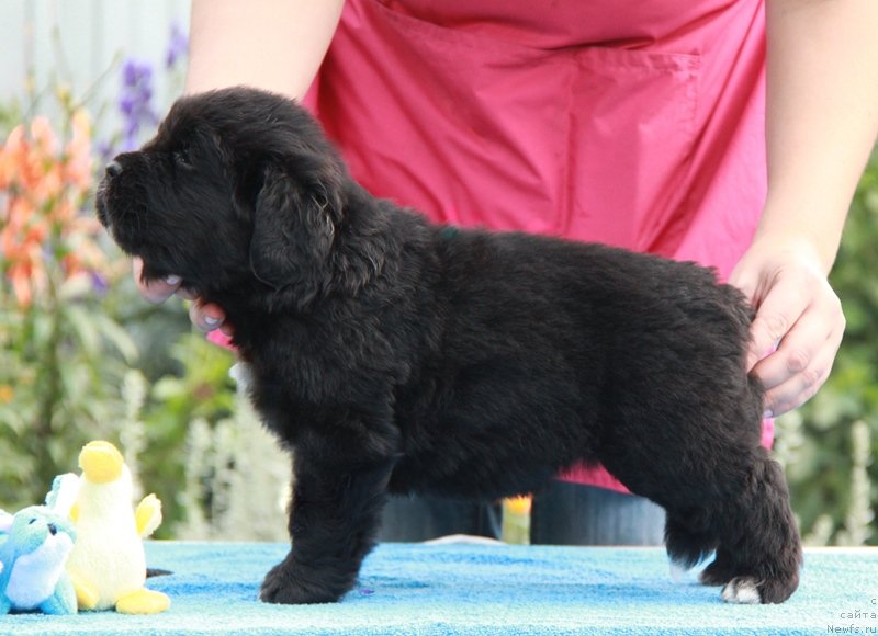 Фото: Стеша+Викинг