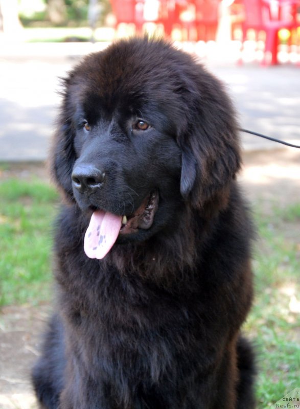 Фотография № 132558