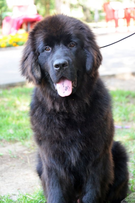 Фотография № 132560