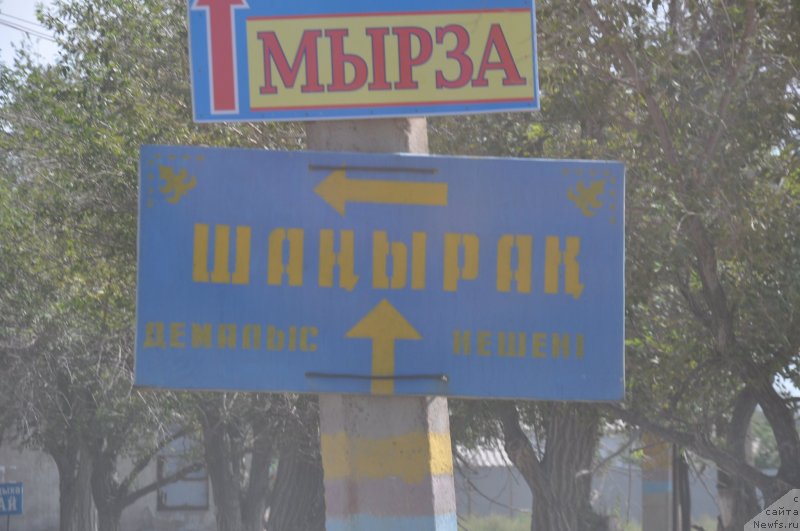 Фотография № 132620