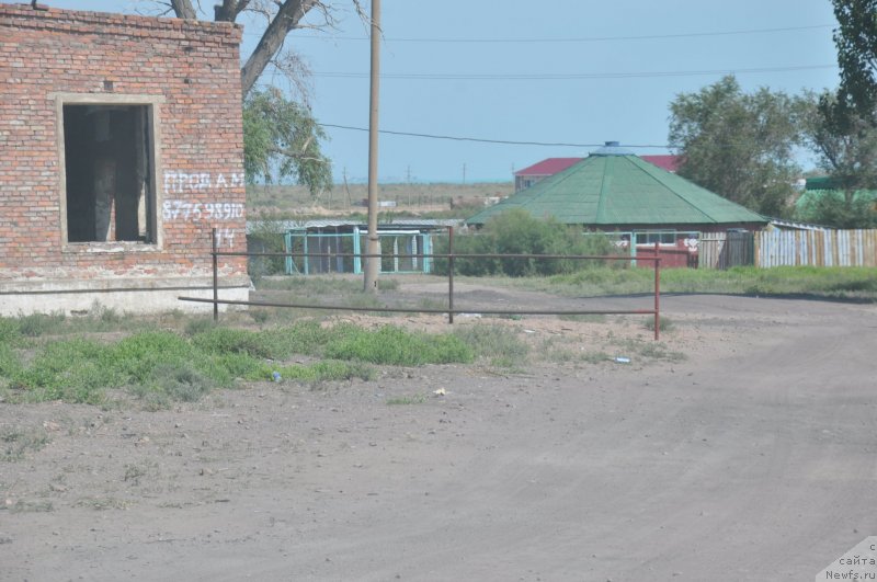 Фотография № 132621