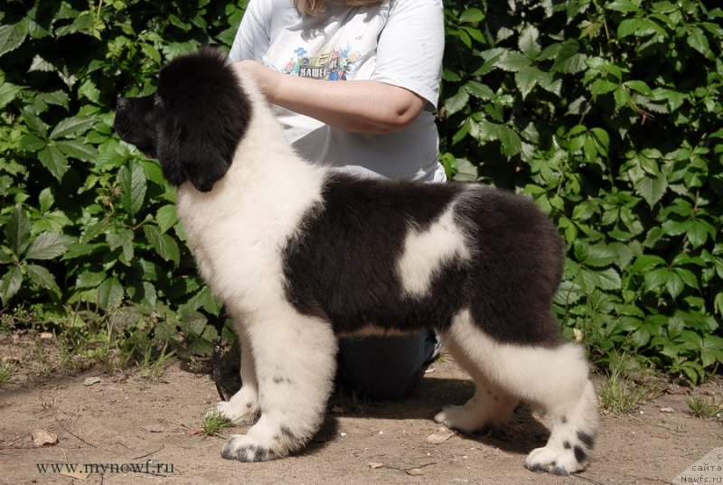 Фотография № 132624