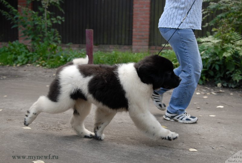 Фотография № 132630