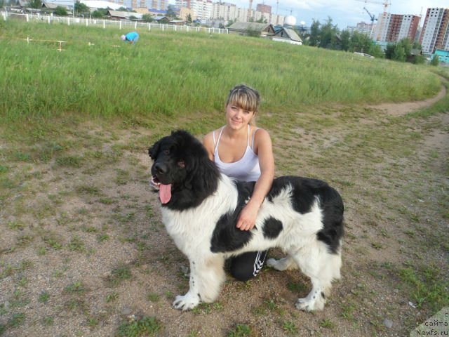 Фотография № 132634