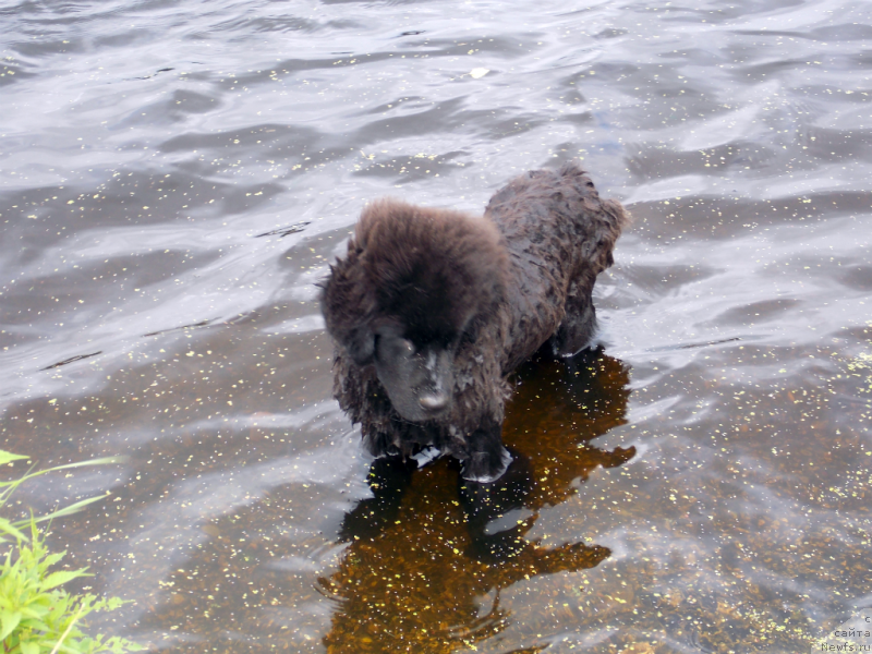 Фотография № 132650