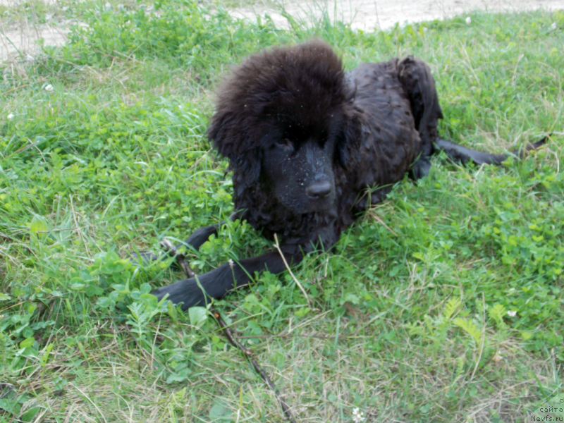 Фотография № 132651