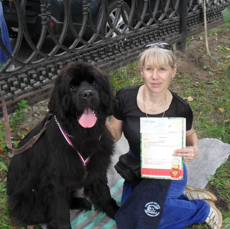 Фото: ньюфаундленд Beguschaya po Volnam Carica Savskaya (Бегущая по Волнам Царица Савская), Elena Istomina (Елена Истомина)