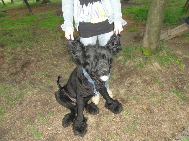 Фотография № 132690