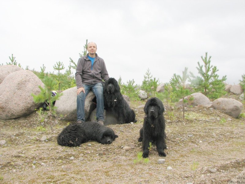 Фото: Anton YAkovlev (Антон Яковлев), ньюфаундленд Beguschaya po Volnam Hand Made (Бегущая по Волнам Ханд Маде), ньюфаундленд Beguschaya po Volnam Elvis (Бегущая по Волнам Елвис), ньюфаундленд Beguschaya po Volnam Esperanto Etulo CHui (Бегущая по Волнам Есперанто Етуло Чуи)