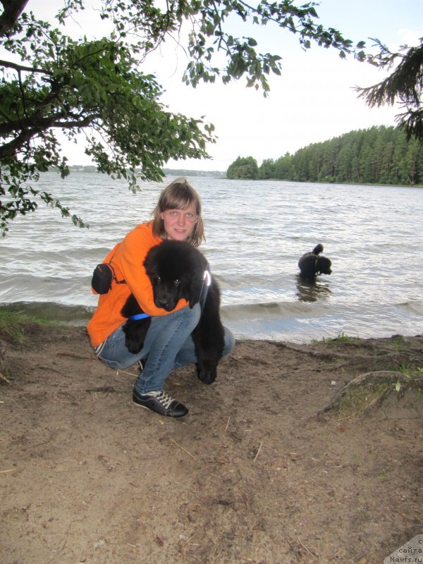 Фотография № 132740