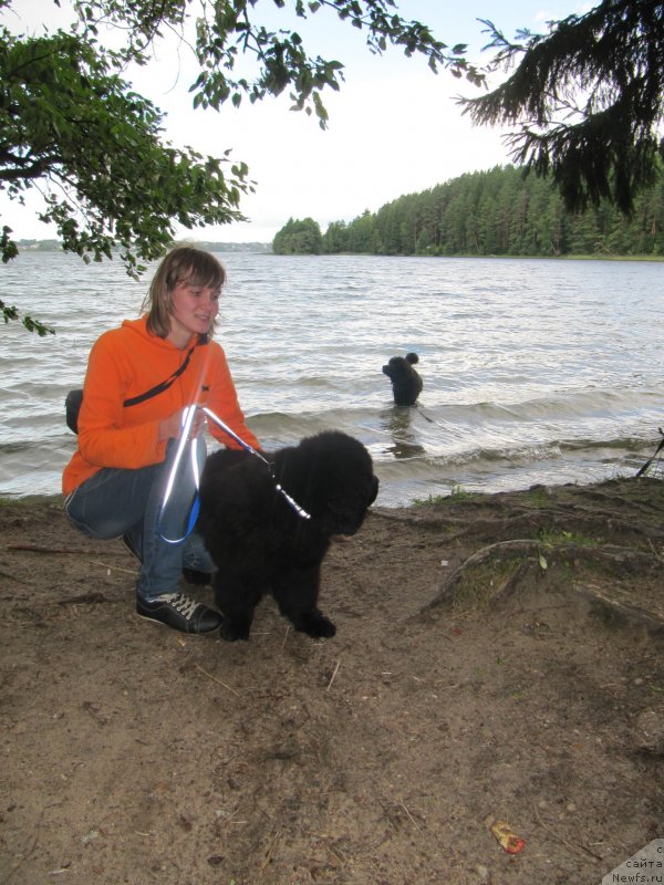 Фотография № 132741