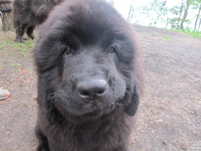 Фотография № 132743