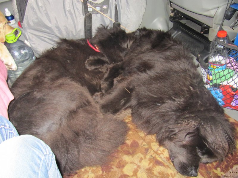 Фотография № 132745