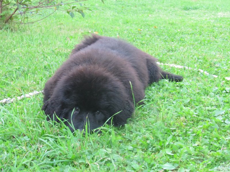 Фотография № 132747