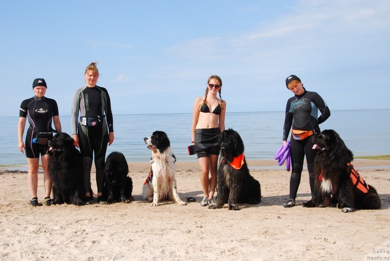 Фотография № 132766