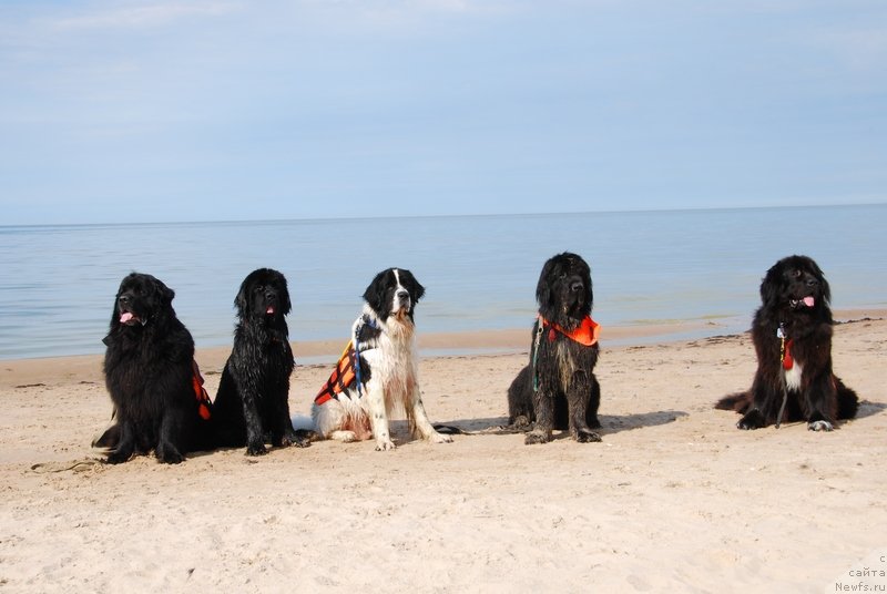 Фотография № 132767