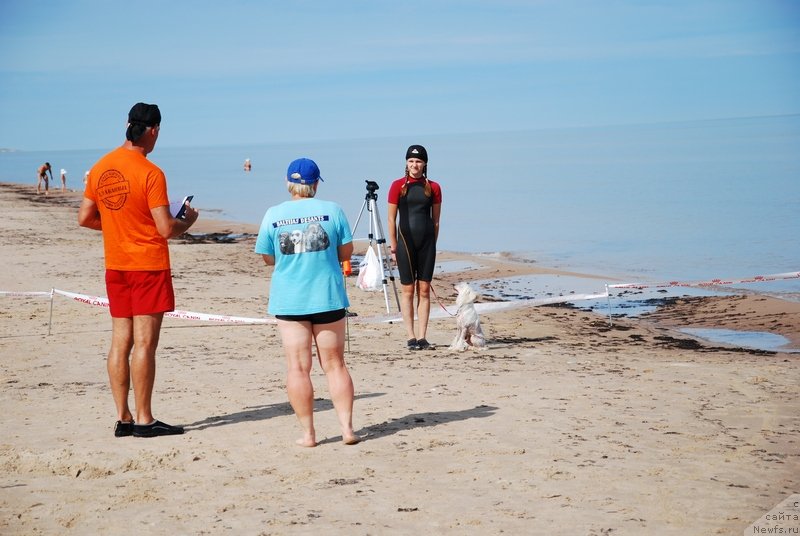 Фотография № 132771