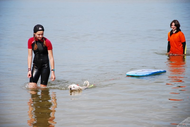 Фотография № 132773