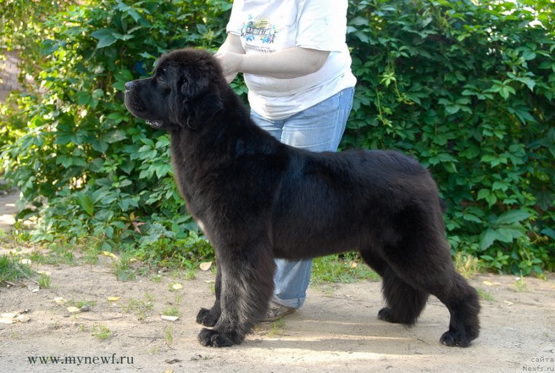 Фотография № 132793