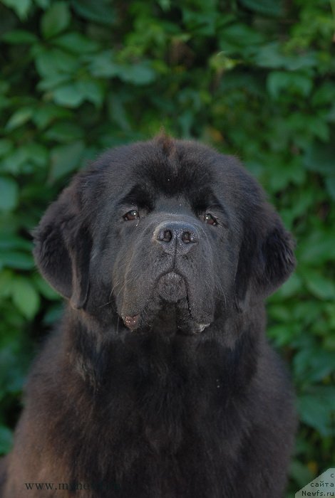 Фотография № 132810