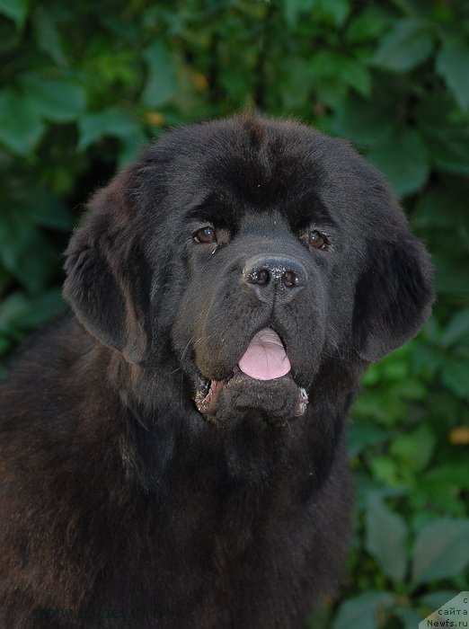 Фотография № 132811