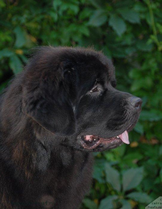 Фотография № 132812