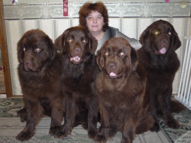 Фотография № 132829