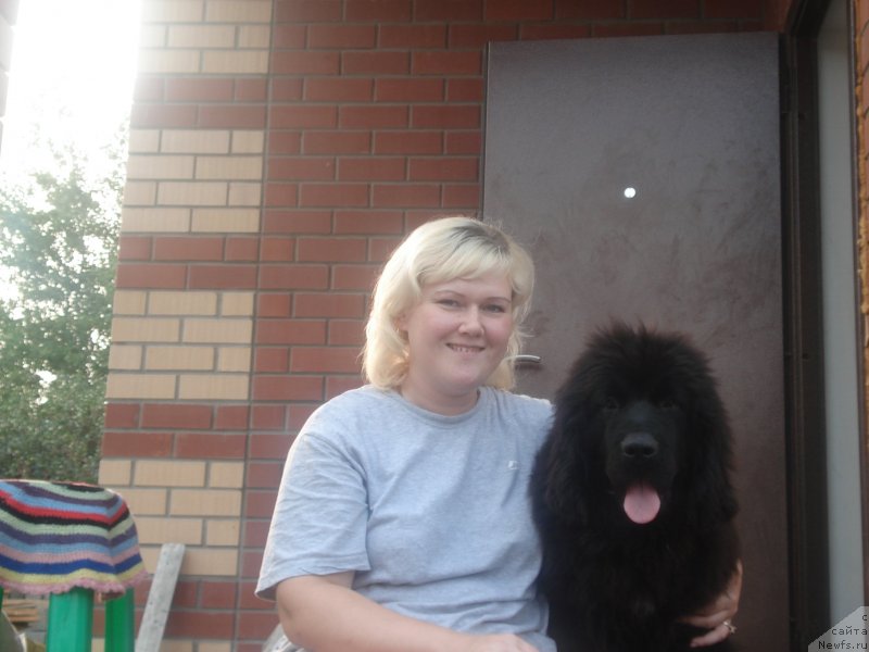 Фото: ньюфаундленд Aquatoriya Kelvin Schedrost Fortuny (Акватория Келвин Щедрость Фортуны), Elena Osotkina (Елена Осоткина)