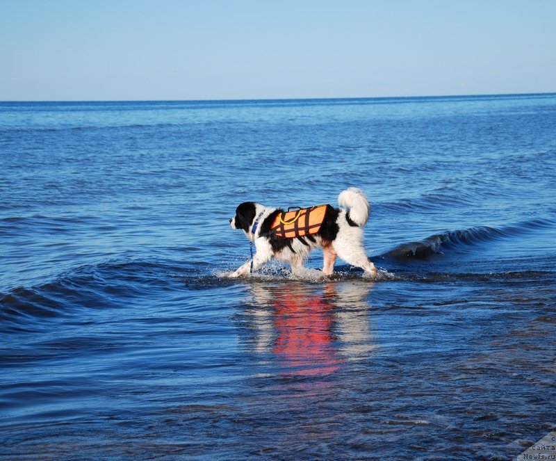 Фотография № 132870