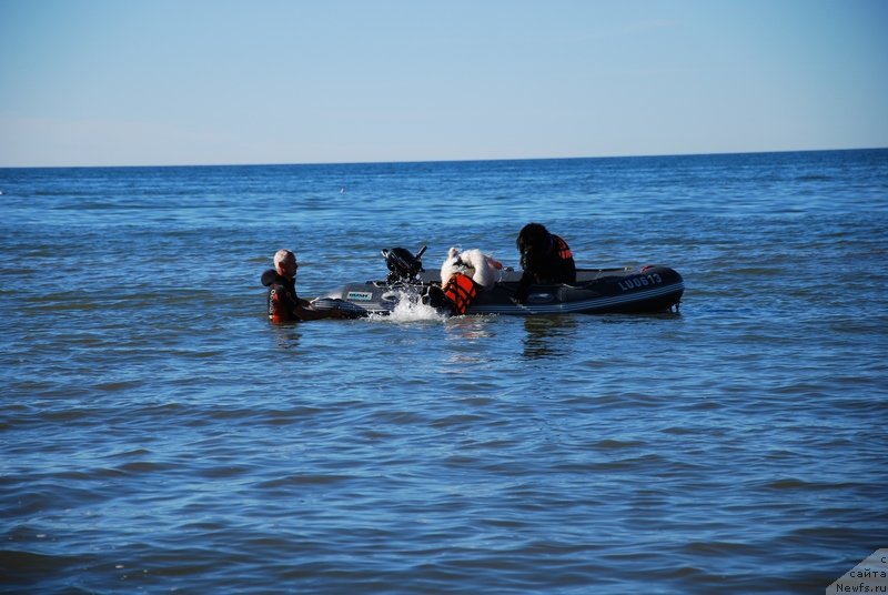 Фотография № 132872