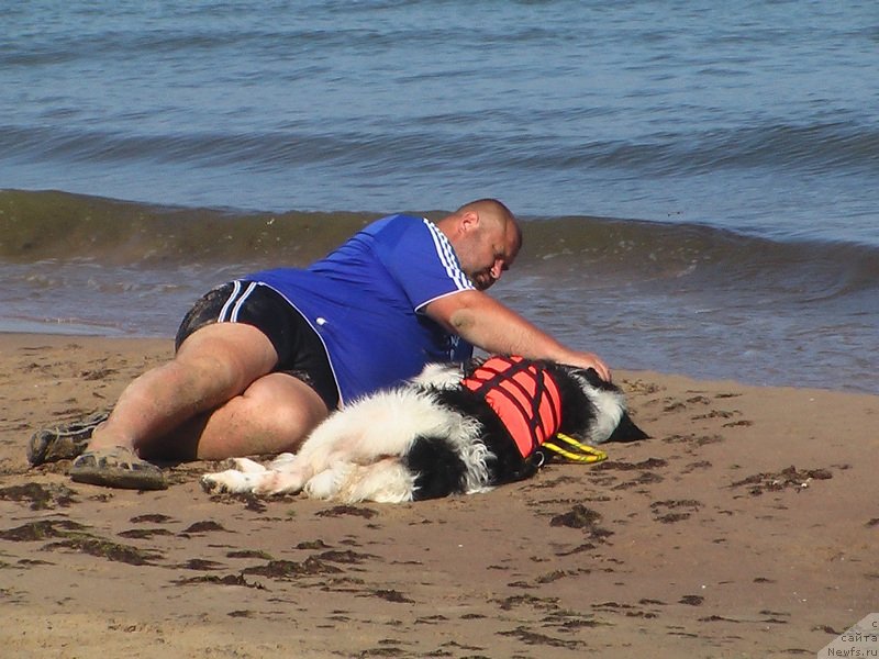 Фотография № 132876