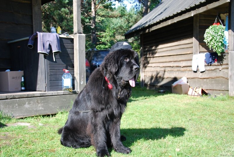 Фотография № 132898