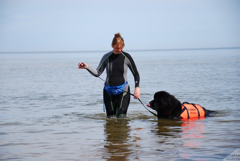 Фотография № 132899